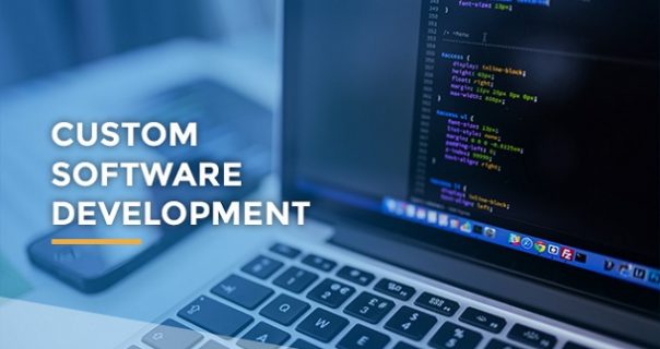 Key Role of Custom Software Development for Your Business